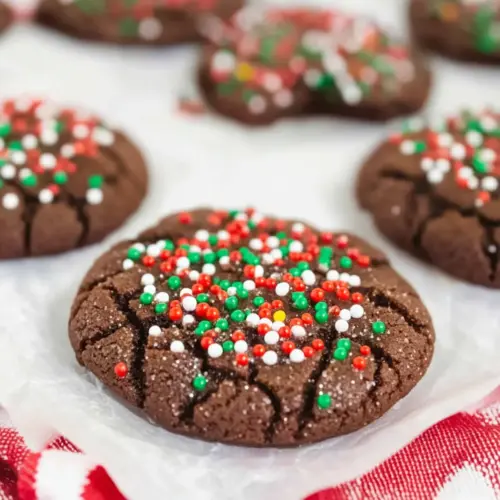 Chocolate Christmas Sprinkle Cookies